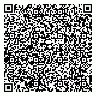 vCard 79294013753