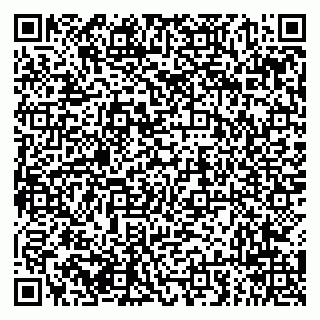 vCard 79294014100