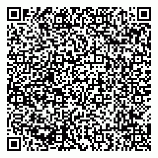 vCard 79294014701