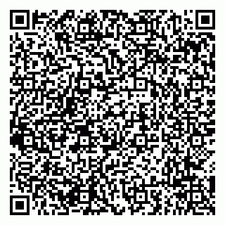 vCard 79294015232