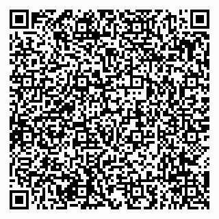 vCard 79294015303
