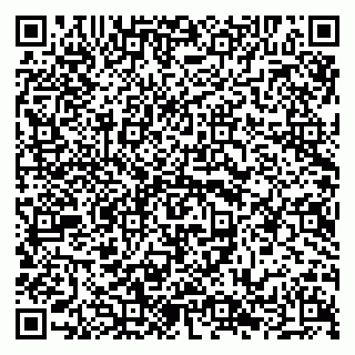 vCard 79294015331