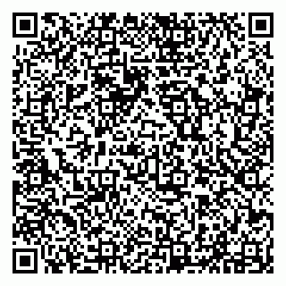 vCard 79294015503