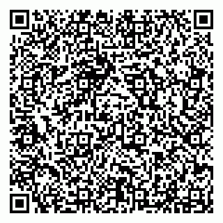 vCard 79294015603