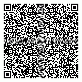 vCard 79294017151