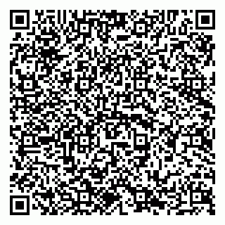 vCard 79294017602