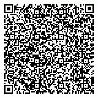 vCard 79294017803