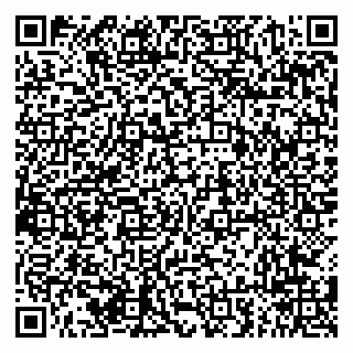 vCard 79294018909