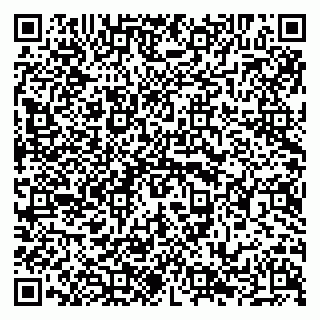 vCard 79294018933