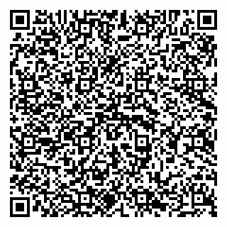 vCard 79294020060