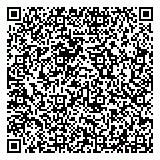 vCard 79294020103
