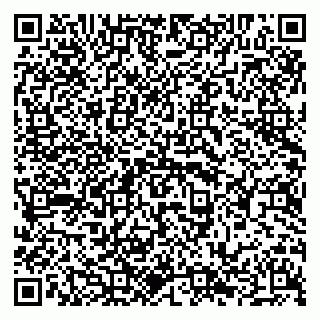 vCard 79294020104