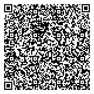 vCard 79294020118