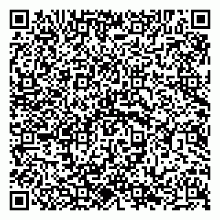 vCard 79294020119