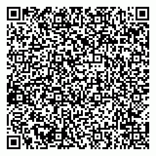 vCard 79294020132