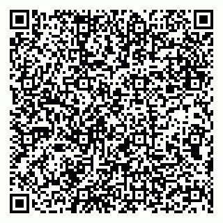 vCard 79294020133