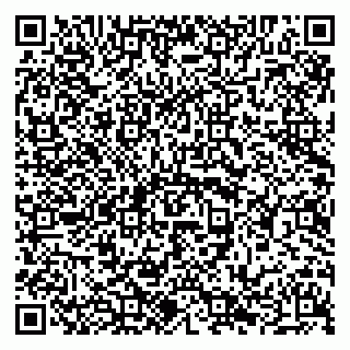 vCard 79294020134