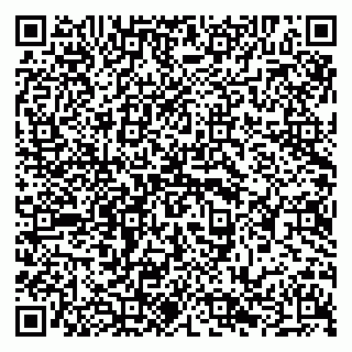 vCard 79294020140