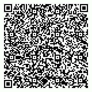 vCard 79294020149