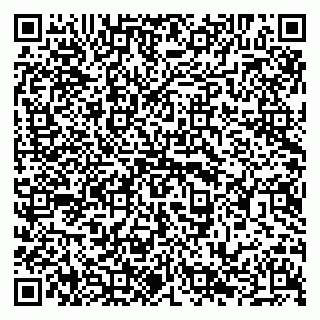 vCard 79294020153