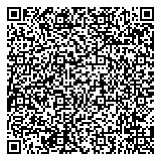 vCard 79294020155
