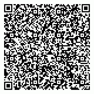 vCard 79294020156