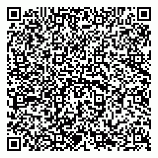 vCard 79294020195