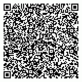 vCard 79294020199
