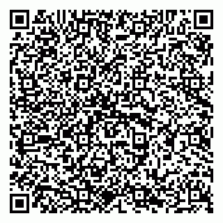 vCard 79294020239