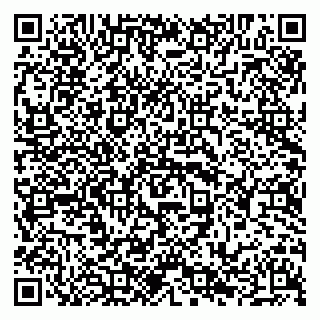 vCard 79294020481