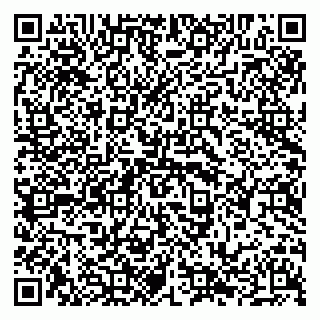 vCard 79294020545