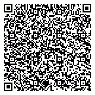 vCard 79294020705