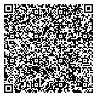 vCard 79294020985