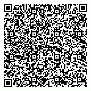 vCard 79294020992