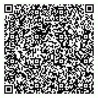 vCard 79294021101