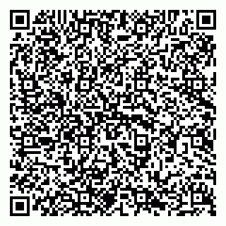 vCard 79294021110
