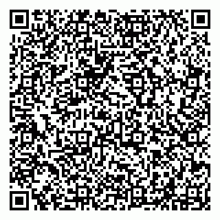 vCard 79294021140