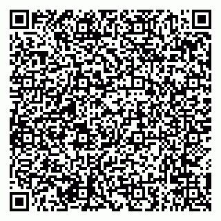 vCard 79294021168