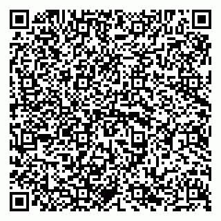 vCard 79294021170