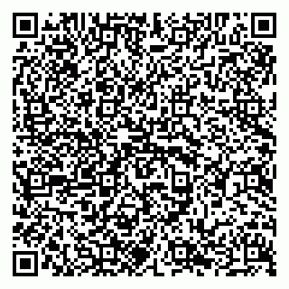 vCard 79294021178