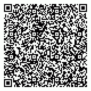 vCard 79294021179
