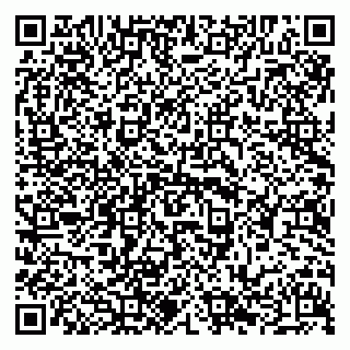 vCard 79294021181