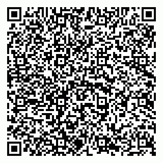 vCard 79294022131