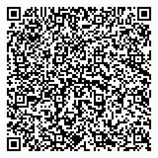 vCard 79294022335
