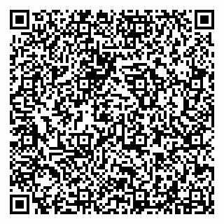 vCard 79294022863