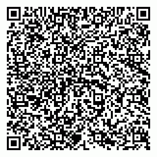 vCard 79294023005