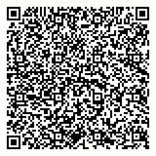 vCard 79294023903