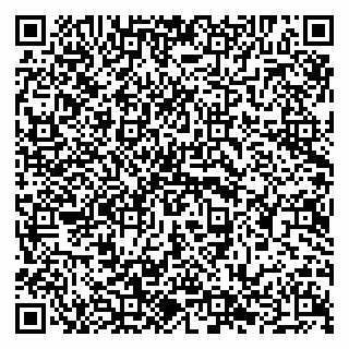 vCard 79294025005