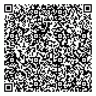 vCard 79294026300