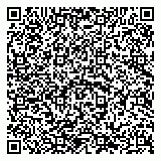 vCard 79294026303